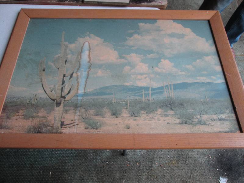 Framed desert scene with water stai...