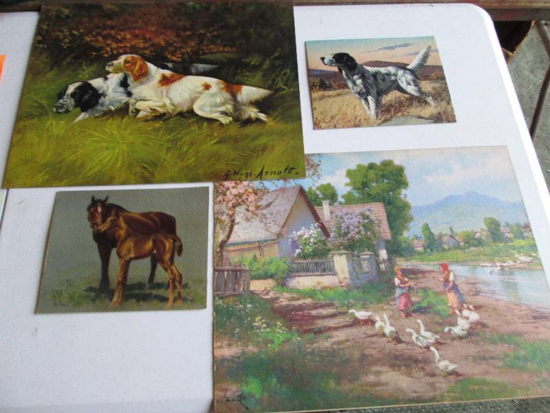 Lot of animal scenes on paperboard...