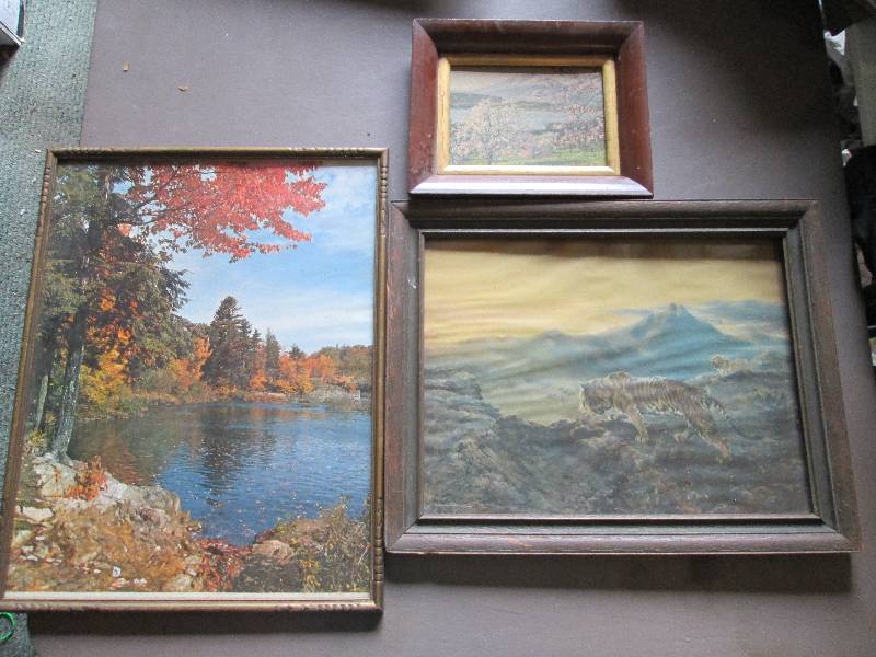 Lot of framed nature prints, larges...