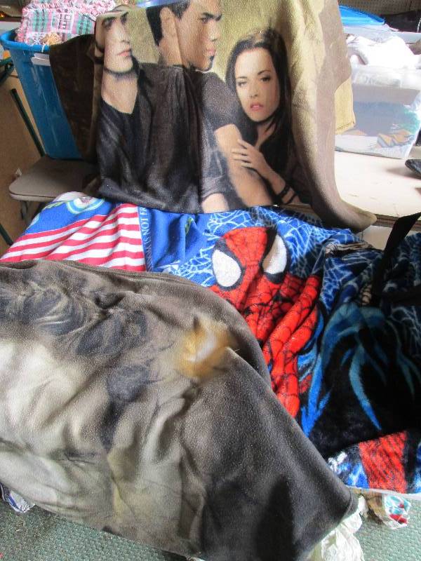 Movie blankets, Twilight, Spiderman...