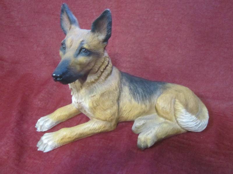 German Sheppard