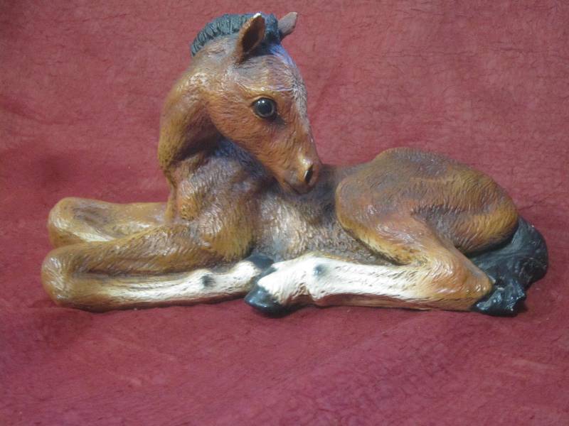 HorseFoal