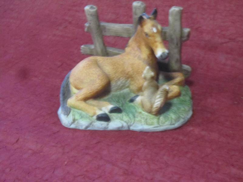 Horse and squirrel