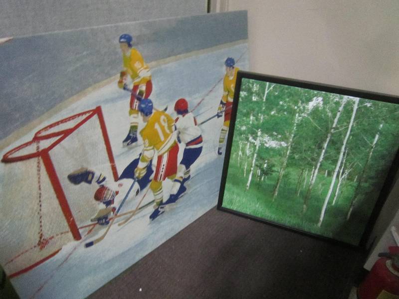 Hockey and tree pictures