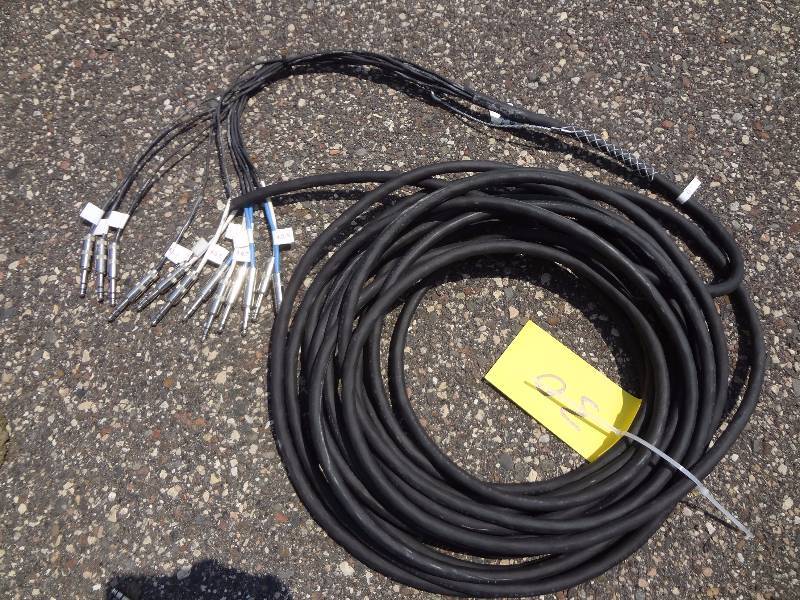 lot 30 image: Twelve Plug Snake