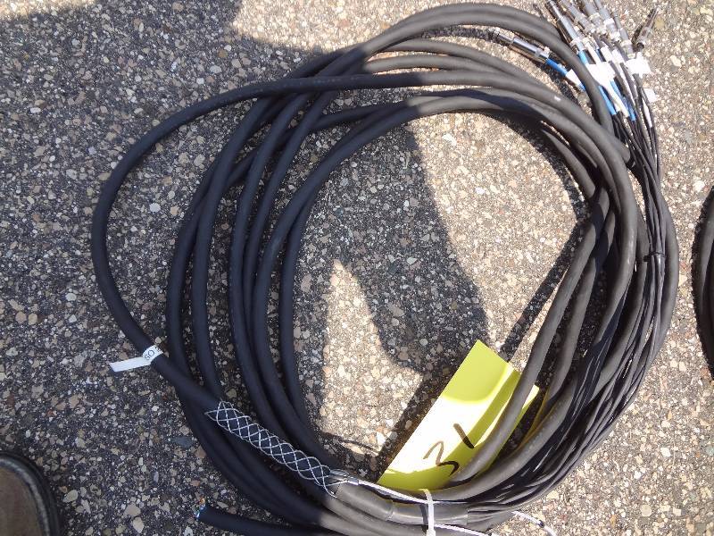 lot 31 image: Twelve Plug Snake