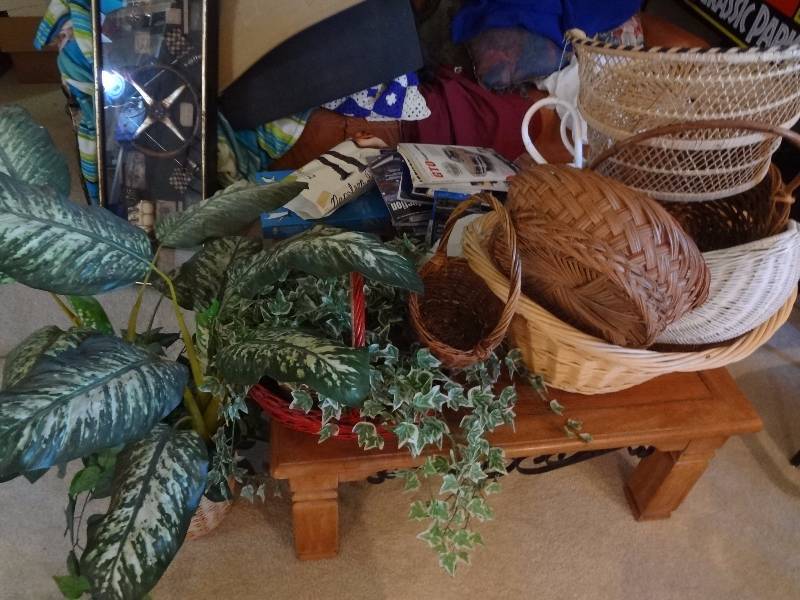 lot 229 image: Baskets, Plant