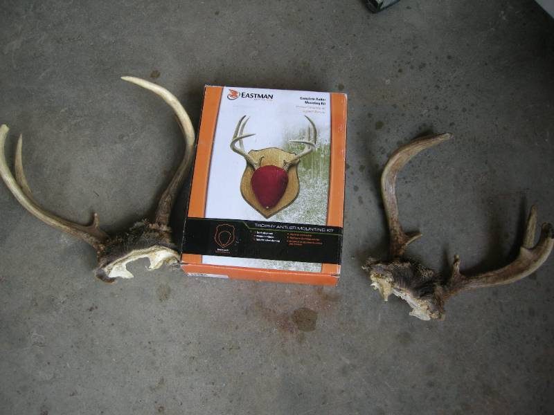 lot 26 image: Trophy antler mount kit