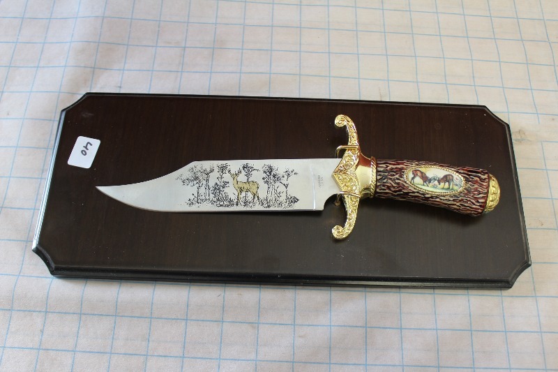 Decorative Knife on Display