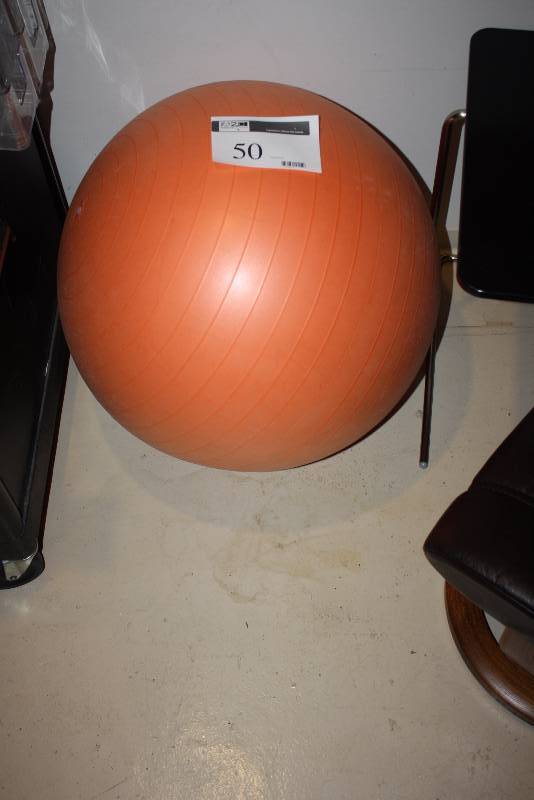 Jardines ornamento de acuerdo a Reebok Exercise Ball; Orange. | South Minneapolis Moving Sale | K-BID