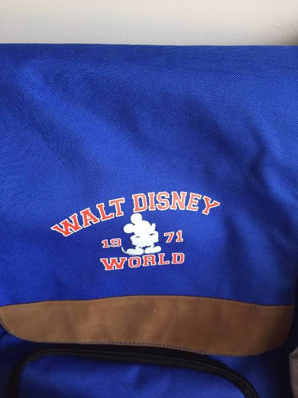 DISNEY BAGS AND BOOSTER SEAT
