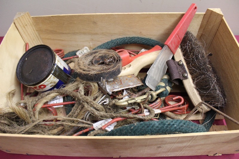Horse Care Supplies