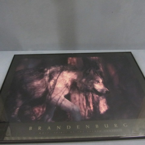lot 39 image: Wolf Spirit Framed Print
