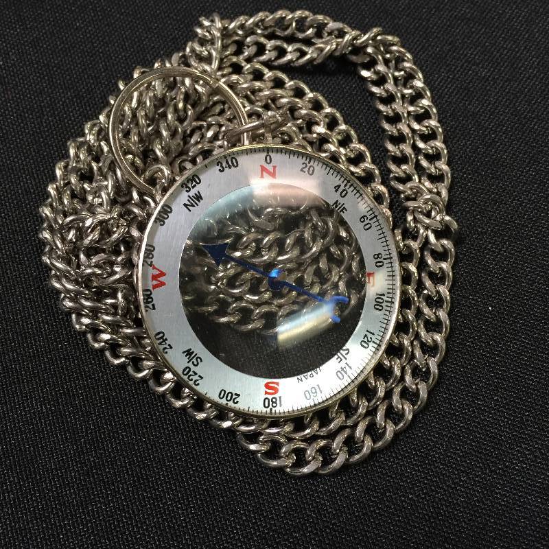 Night  & Day Compass Necklace
