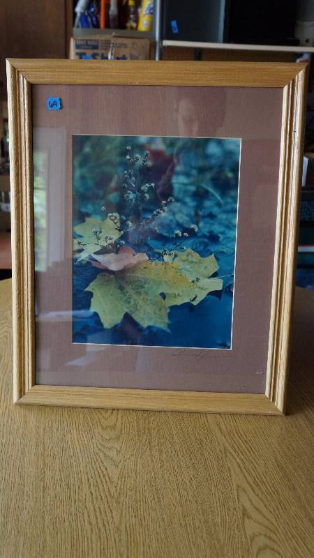 lot 69 image: Fall Leaf Picture Framed Print