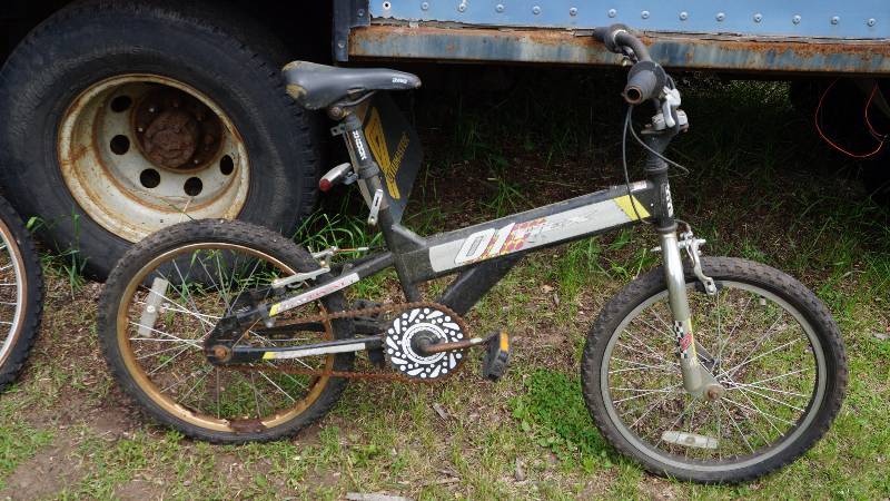 lot 198 image: 16 Boys Bicycle