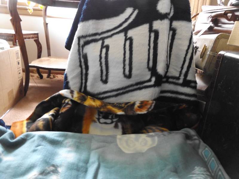 lot 389 image: Blankets