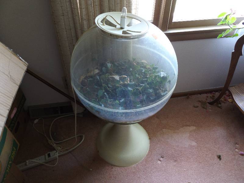 lot 415 image: Plant Atrium