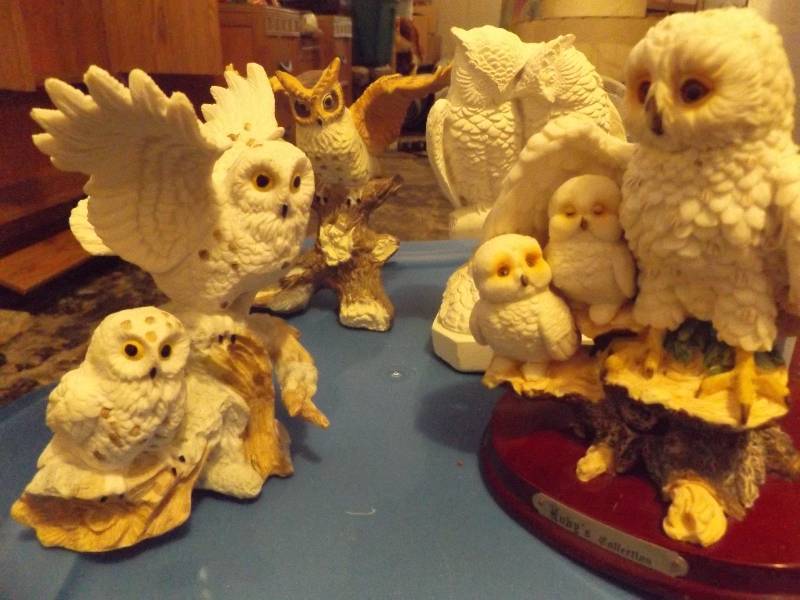 Owls
