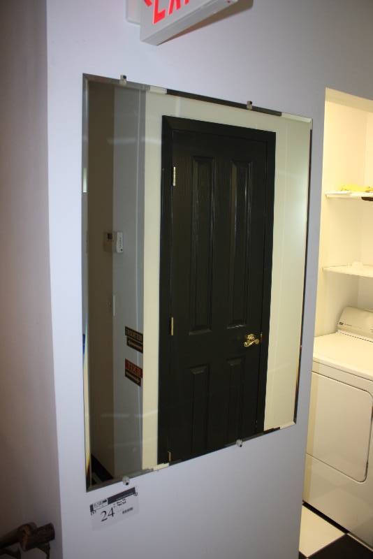 lot 24 image: Lot of (2) Decorative Wall Mirrors 36 x 72 40 x 30 One Has Image of Palm Tree.