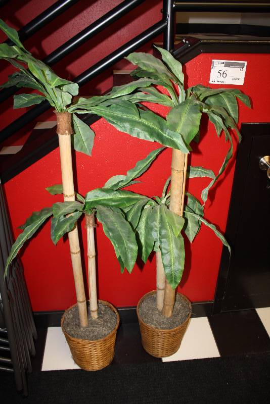 lot 56 image: Lot of (3) Fake Trees wBaskets.