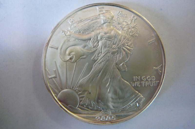 2005 Walking Liberty 1 oz 999 Fine Silver Dollar