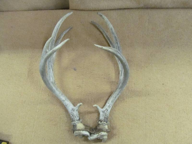 lot 34 image: Antler Sheds