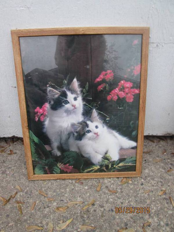 lot 53 image: Kittens print framed in wood look. ...