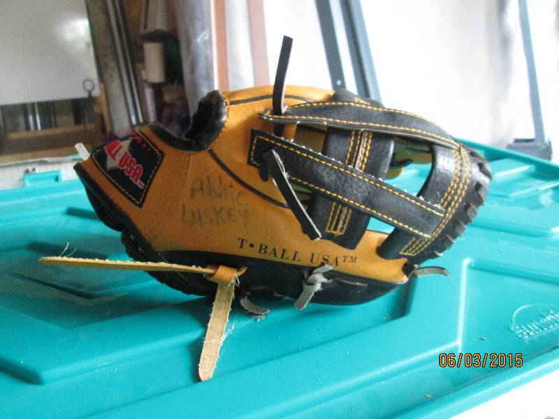 Childrens Flex-wedge tee-ball glove...