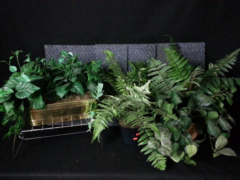 Fauna, Planter, & Carpet Squares