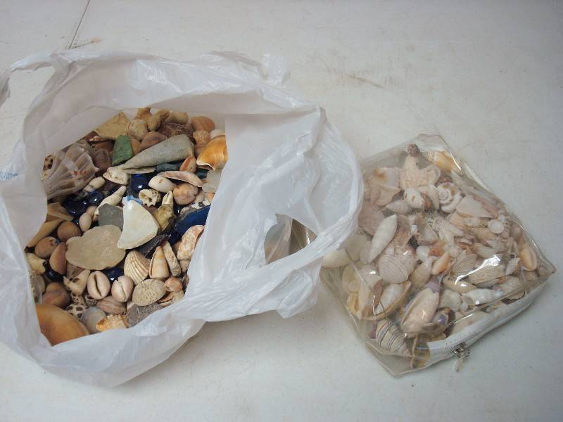 lot 150 image: Lot Of Sea Shell Craft Items