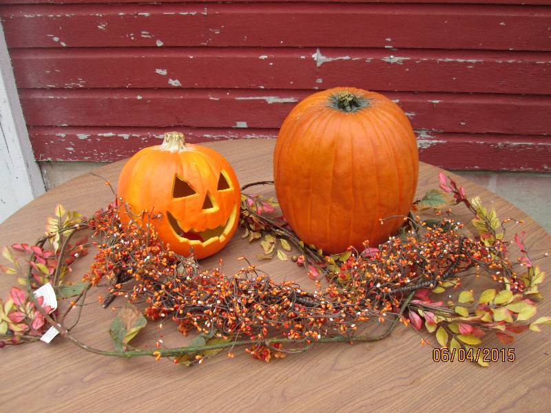 Decorative fall pumpkins and garlan...