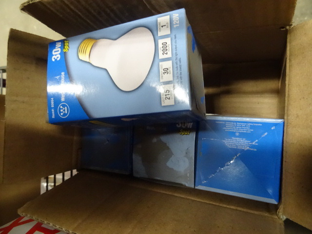 Bulbs