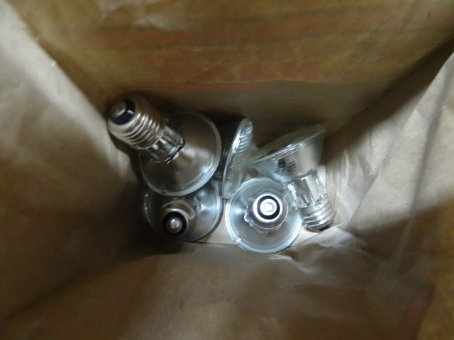 Bulbs