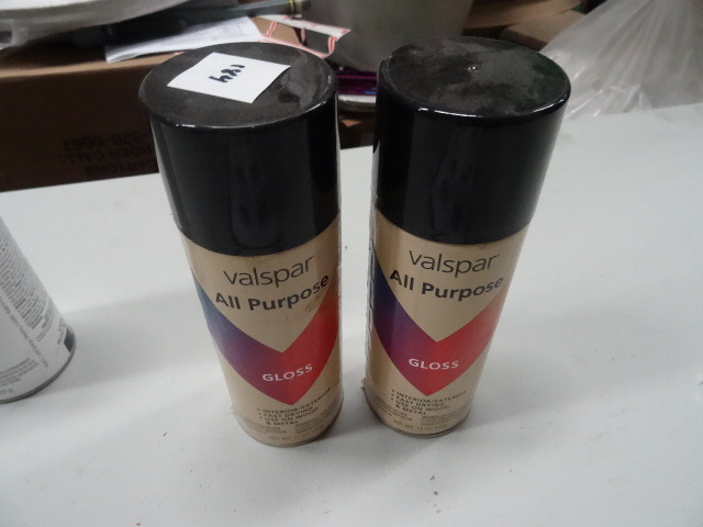 Paint