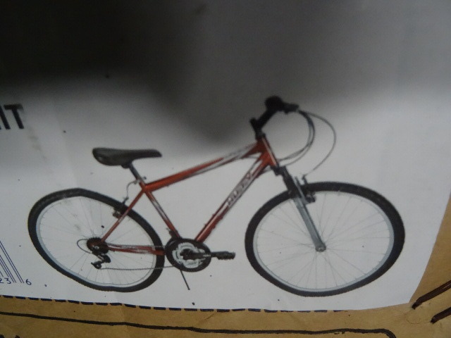 Mens Bike