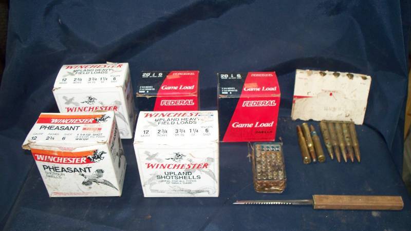 lot 10 image: Ammo