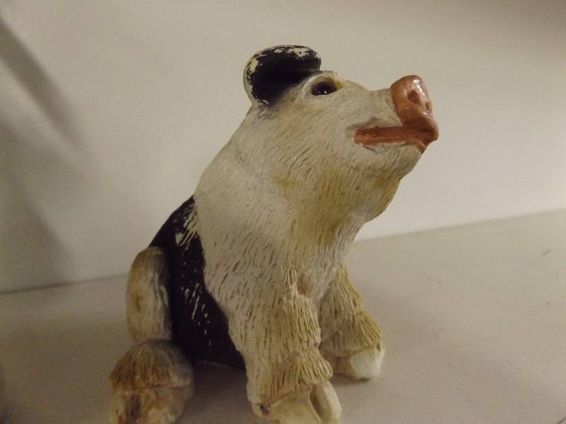 Pig