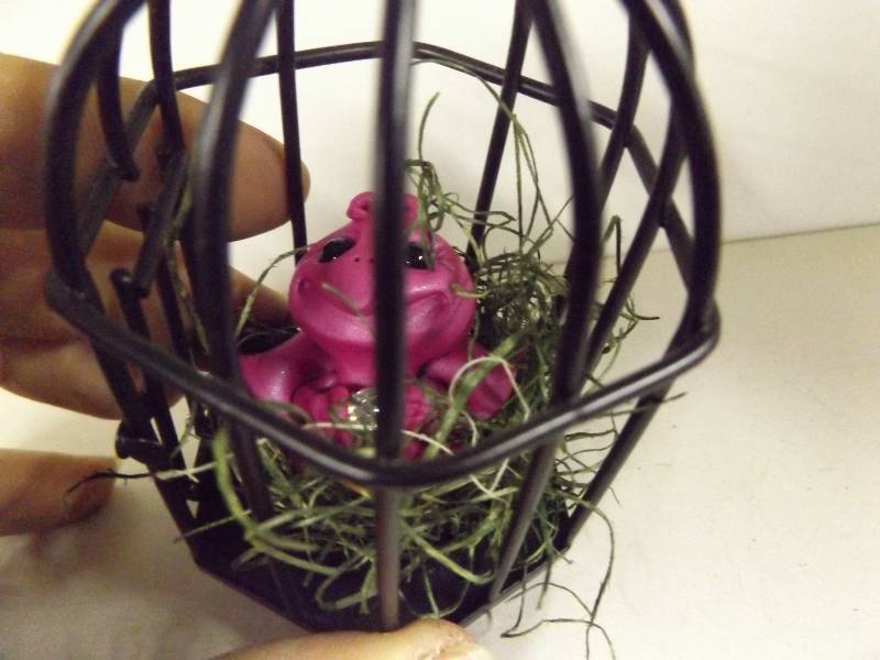 Bird Cage