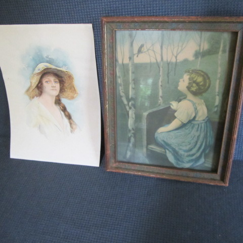 Vintage Songbird Framed Print