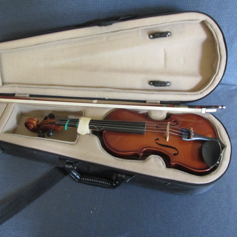Paletina Viola