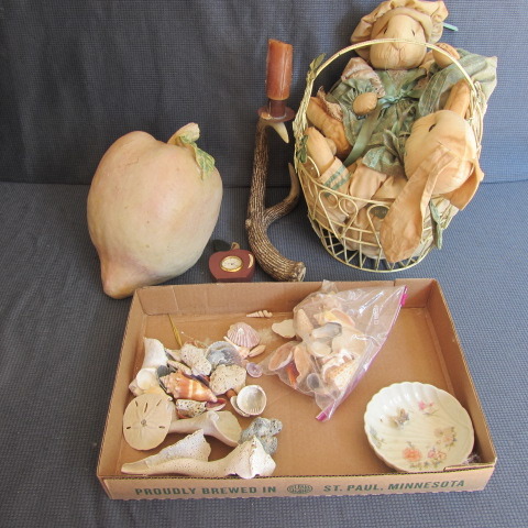 Sea Shells, Antler, Bunnies