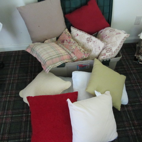 Throw Pillows