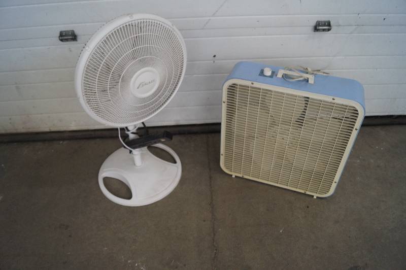 Fans