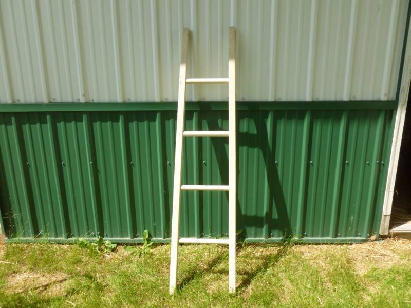 lot 70 image: Painted Bunk Ladder