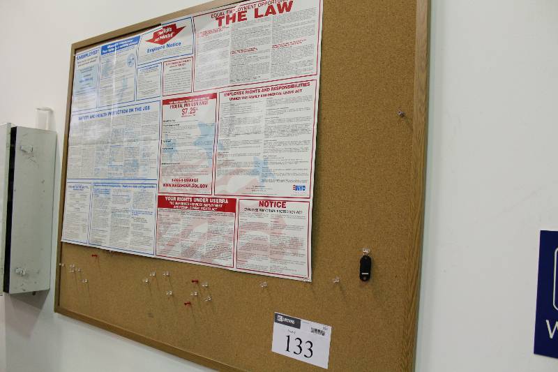 lot 133 image: Peg Board 36 x 48.