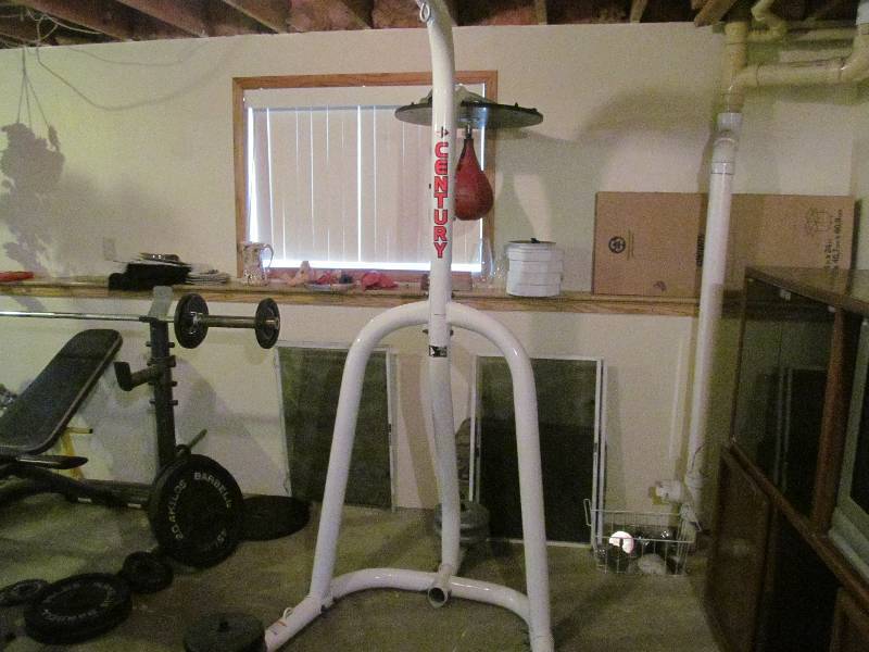 lot 49 image: Century, Heavy Bag & Speed Bag Combo