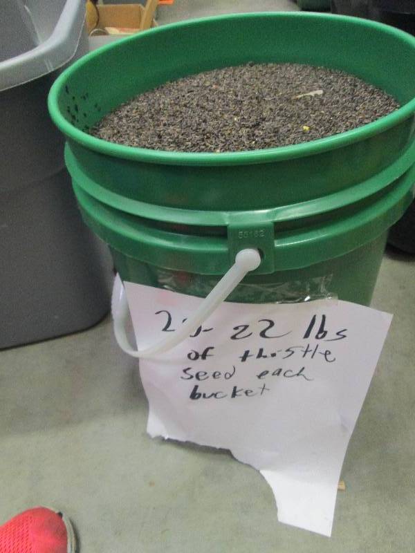 lot 87 image: 20-22 Lbs of thistle seed ...