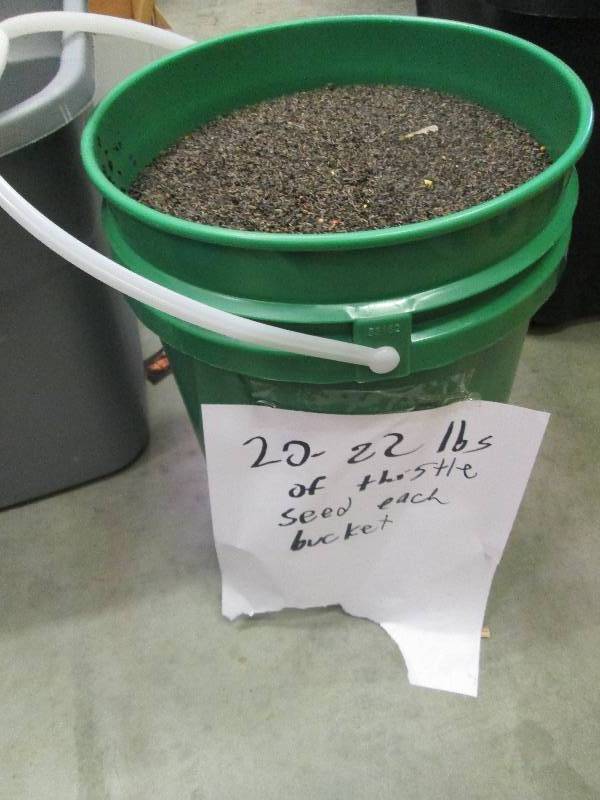 lot 89 image: 20-22 Lbs of thistle seed ...