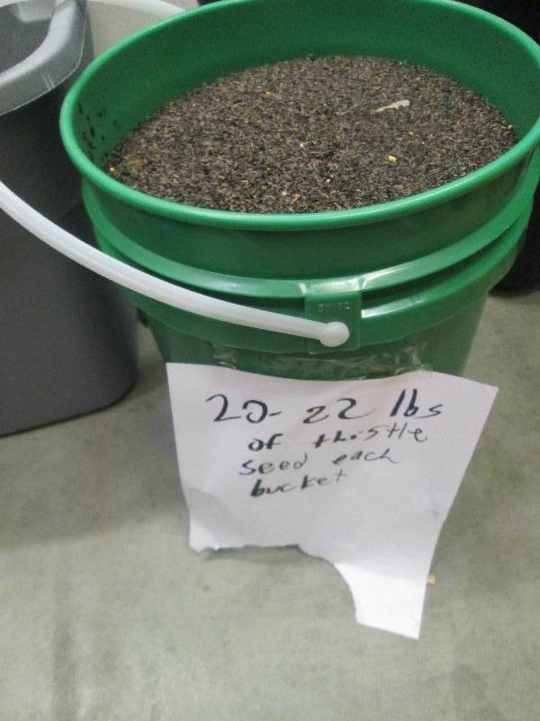lot 90 image: 20-22 Lbs of thistle seed ...